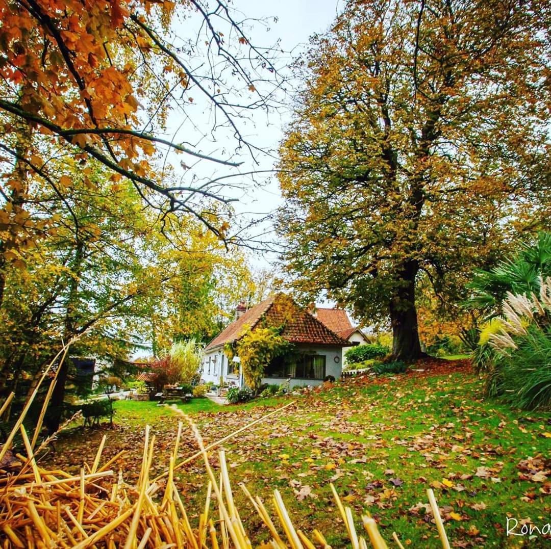 Le Clos De Marenla Екстериор снимка